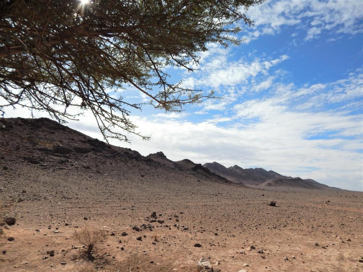 Kasbah Du Bout Du Monde Hotel Zagora Ngoại thất bức ảnh
